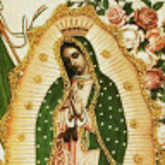 avilalily129